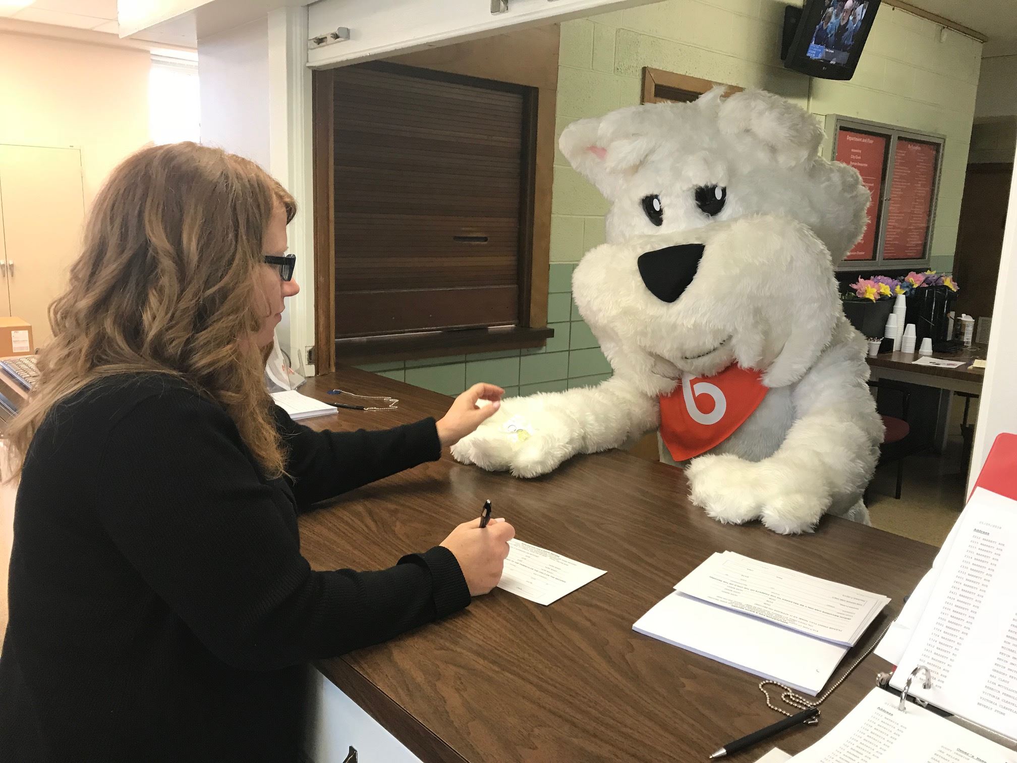 Romi gets his dog license