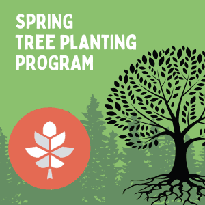 Tree Planting Program